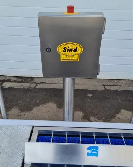 Foto - 5